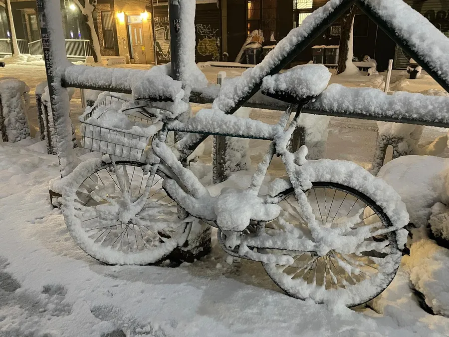 snowed in